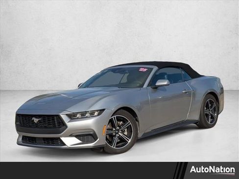 Used 2025 Ford Mustang Premium image 1