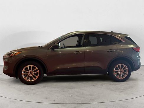 Used 2022 Ford Escape SE w/ Convenience Package FWD image 6