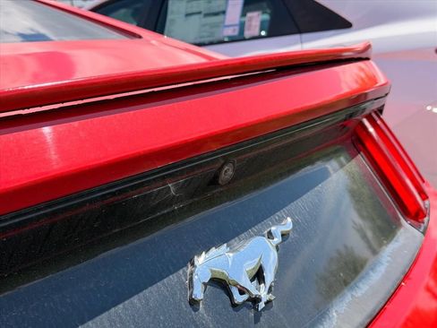Used 2015 Ford Mustang Premium w/ Equipment Group 201A RWD image 14