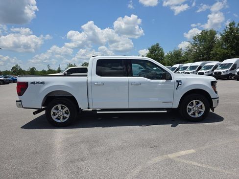 Used 2025 Ford F150 XLT w/ Equipment Group 301A Standard AWD/4WD image 9