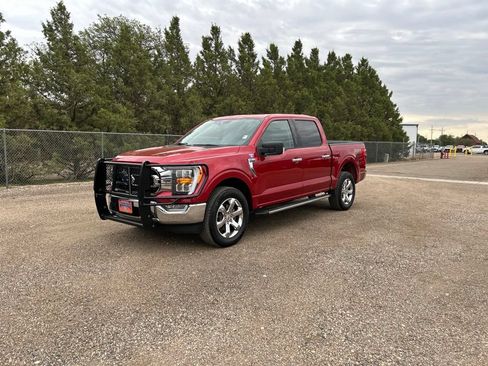 Used 2021 Ford F150 XLT w/ Equipment Group 302A High AWD/4WD image 1