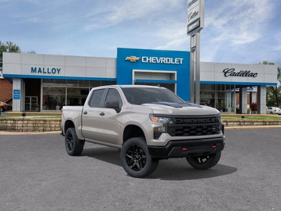 New 2026 Chevrolet Silverado 1500 Custom Trail Boss