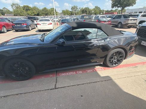 Used 2019 Ford Mustang Premium w/ Ecoboost Performance Package RWD image 6