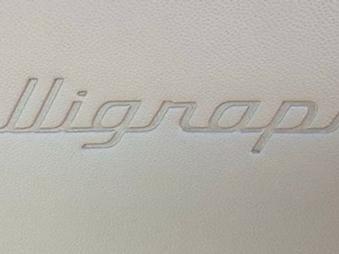New 2026 Hyundai Palisade Calligraphy AWD/4WD image 13
