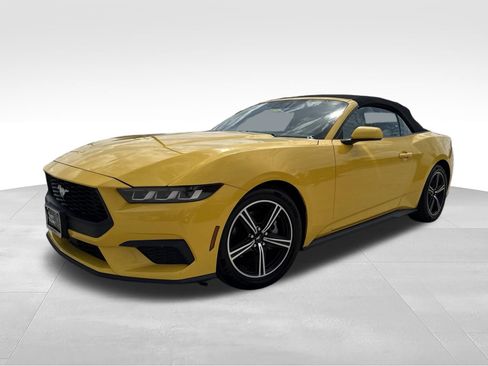 Used 2024 Ford Mustang Premium RWD image 1