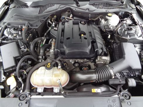 Used 2018 Ford Mustang EcoBoost Fastback image 4