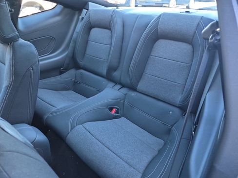 New 2026 Ford Mustang Coupe w/ Mustang Nite Pony Package image 14