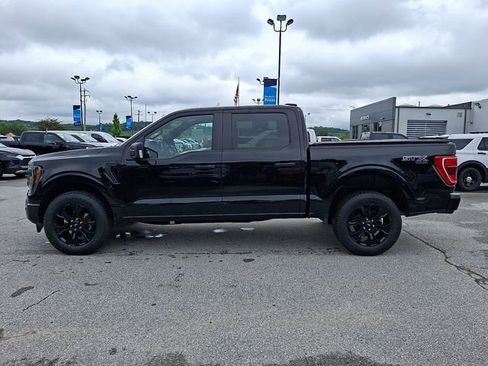 Certified 2023 Ford F150 XL w/ STX Black Appearance Package AWD/4WD image 7