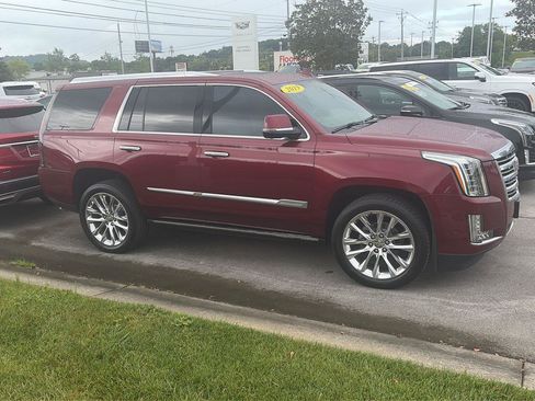 Used 2019 Cadillac Escalade Platinum AWD/4WD image 14