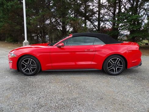 Used 2020 Ford Mustang Premium RWD image 2