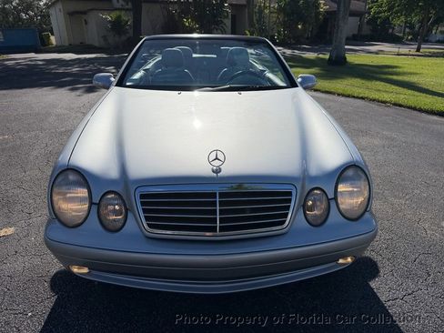 Used 2003 Mercedes-Benz CLK 430 Cabriolet image 13