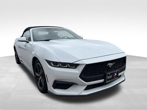 Used 2024 Ford Mustang Premium RWD image 3