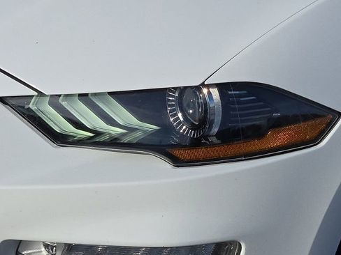 Used 2019 Ford Mustang Premium w/ Equipment Group 201A image 8