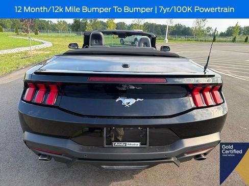 Used 2025 Ford Mustang Premium RWD image 16