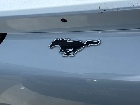 Used 2023 Ford Mustang Mach-E Select RWD image 6