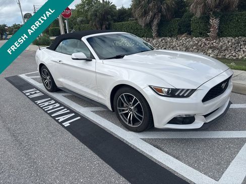 Used 2017 Ford Mustang Premium image 1