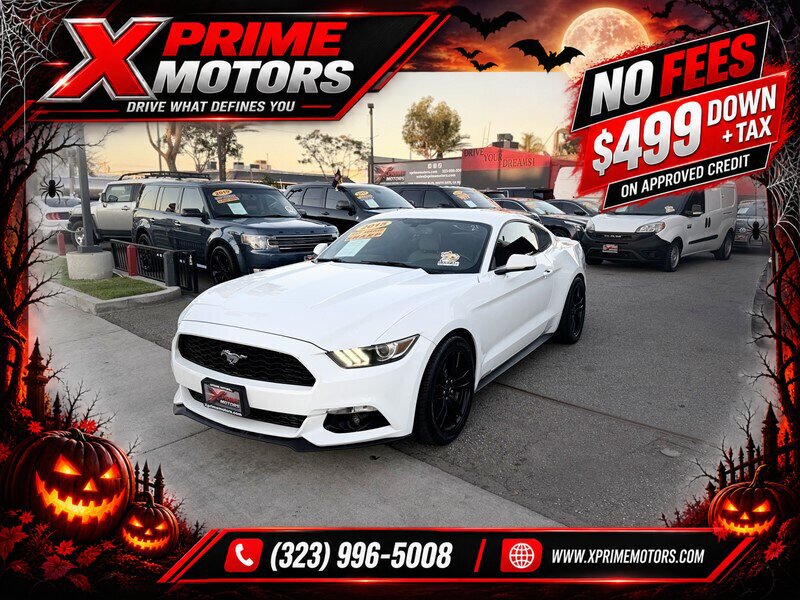 Used 2015 Ford Mustang Premium RWD image 3