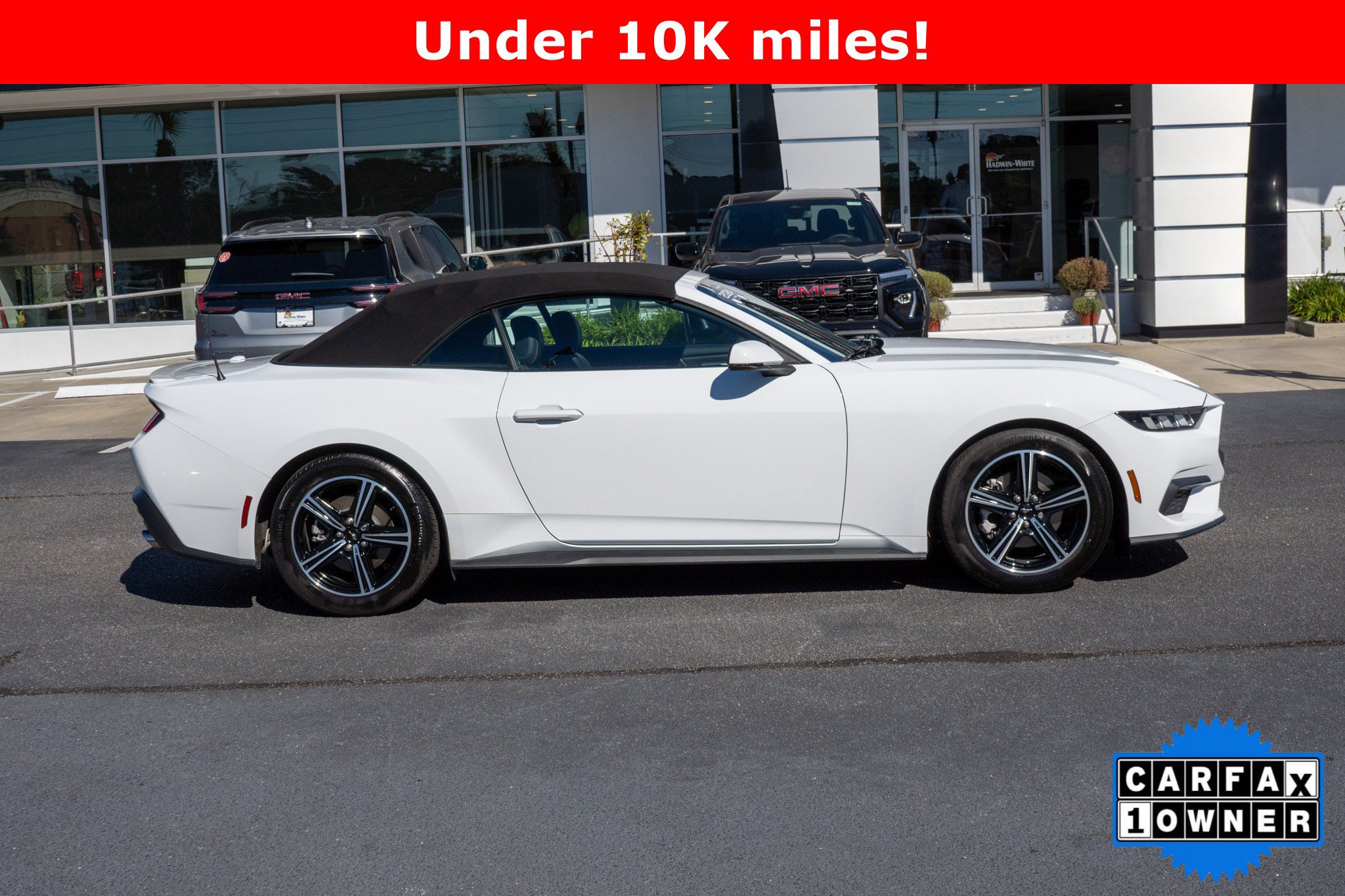 Used 2024 Ford Mustang Premium RWD image 2