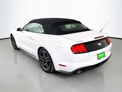 Used 2018 Ford Mustang Premium image 7
