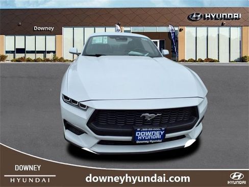 Used 2024 Ford Mustang Premium image 2
