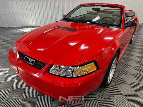 Used 2000 Ford Mustang GT image 5