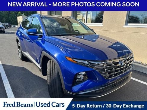 Used 2023 Hyundai Tucson Limited AWD/4WD image 1