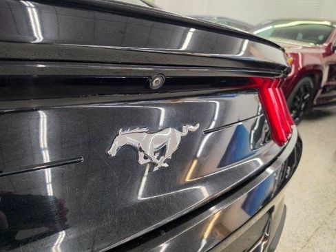 Used 2019 Ford Mustang Coupe w/ Equipment Group 101A RWD image 39