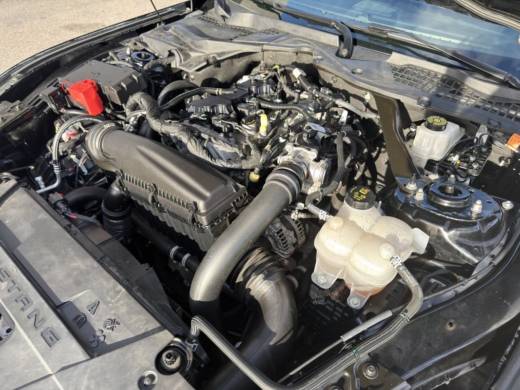 Used 2024 Ford Mustang Premium RWD image 46