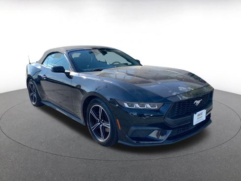 Used 2024 Ford Mustang Premium image 1