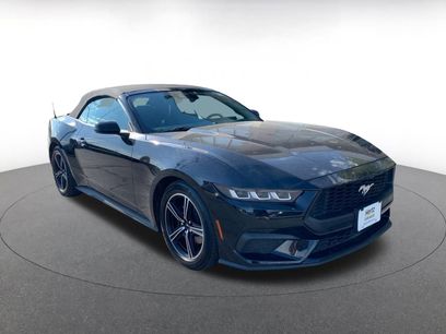 Used 2024 Ford Mustang Premium