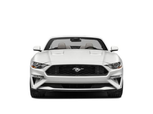 Used 2022 Ford Mustang Premium w/ Equipment Group 201A RWD image 4