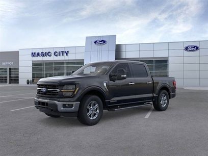 Used 2025 Ford F150 XLT w/ Equipment Group 301A Standard