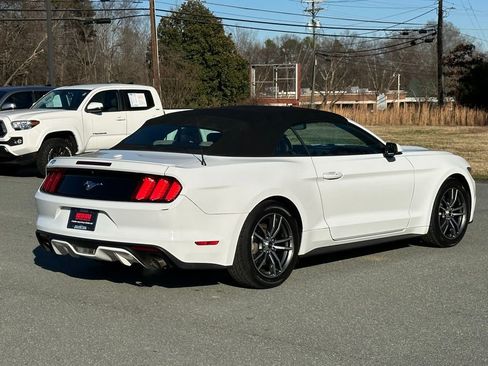 Used 2017 Ford Mustang Premium image 8