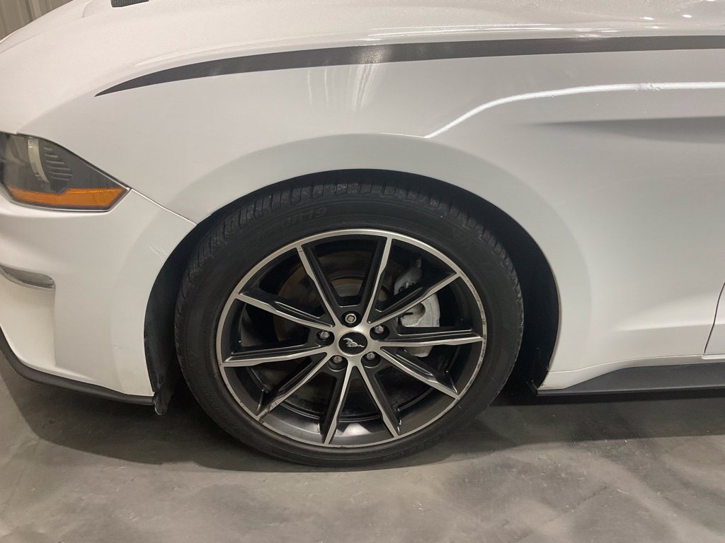 Used 2019 Ford Mustang Coupe w/ Equipment Group 101A RWD image 10