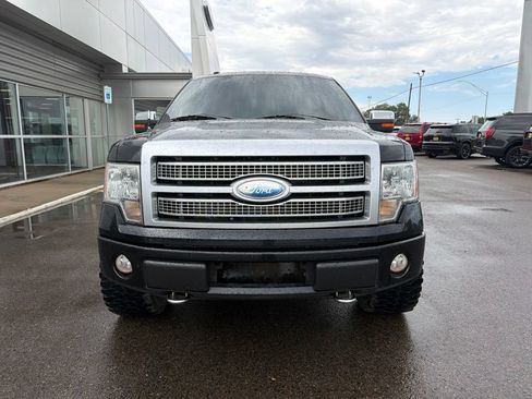 Used 2009 Ford F150 Platinum AWD/4WD image 3