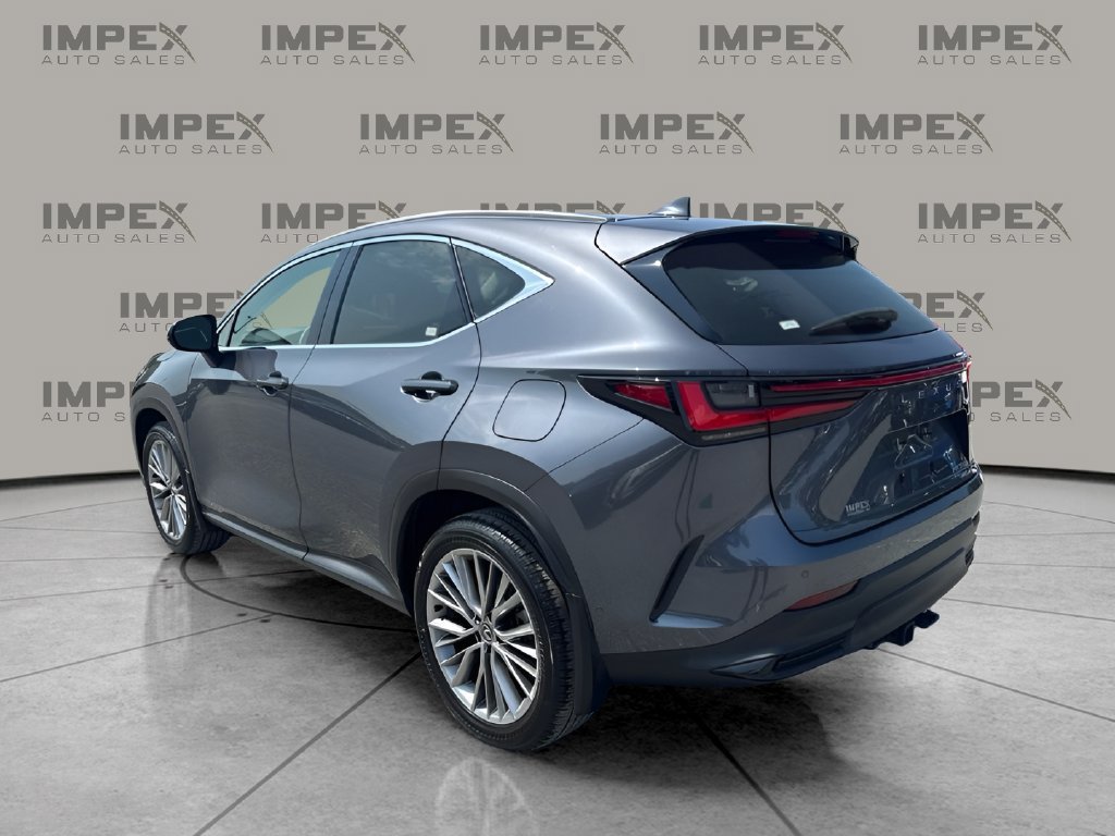 Used 2024 Lexus NX 350h AWD w/ Vision Package image 2