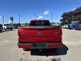 Certified 2017 Ford F150 XLT w/ Equipment Group 302A Luxury image 6