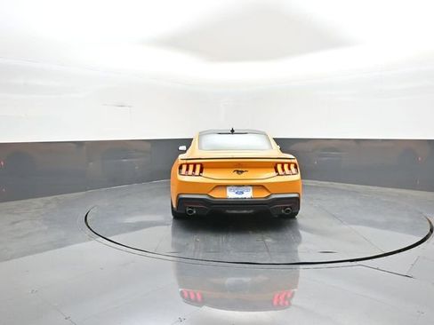 New 2026 Ford Mustang Coupe w/ Mustang Nite Pony Package RWD image 6