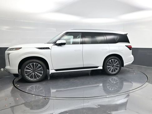 New 2026 INFINITI QX80 Luxe w/ Cargo Package image 6