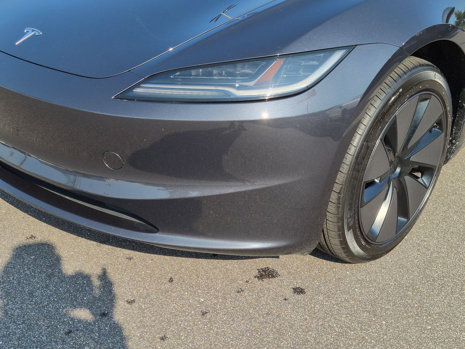Used 2025 Tesla Model 3 Long Range RWD image 9