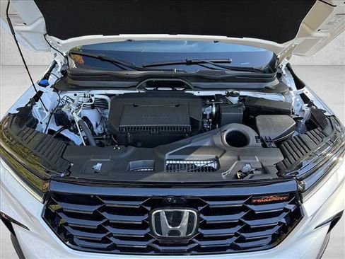 New 2025 Honda Pilot TrailSport image 19