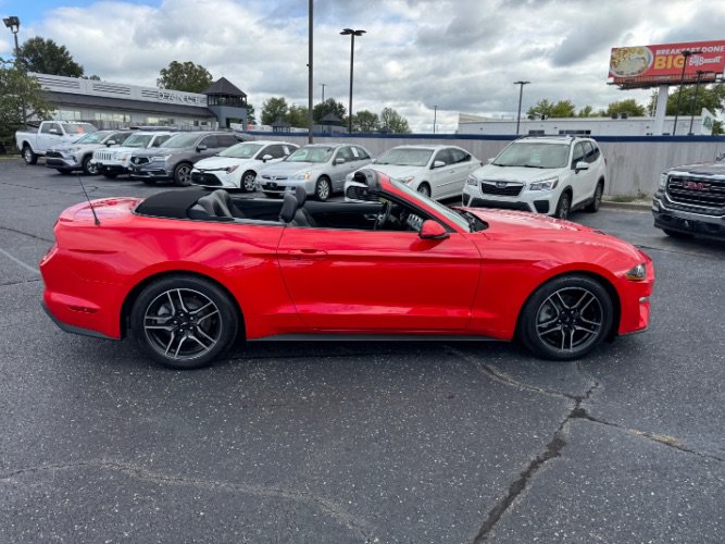 Used 2018 Ford Mustang Premium w/ Equipment Group 201A RWD image 6