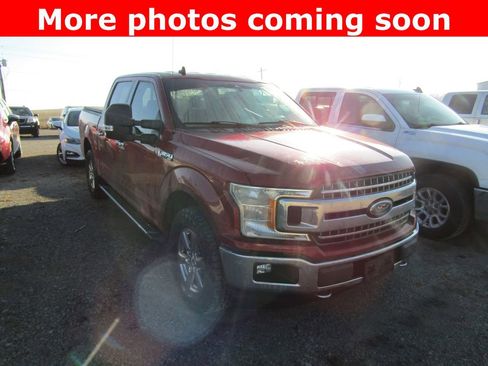 Used 2019 Ford F150 XLT w/ Equipment Group 302A Luxury image 7