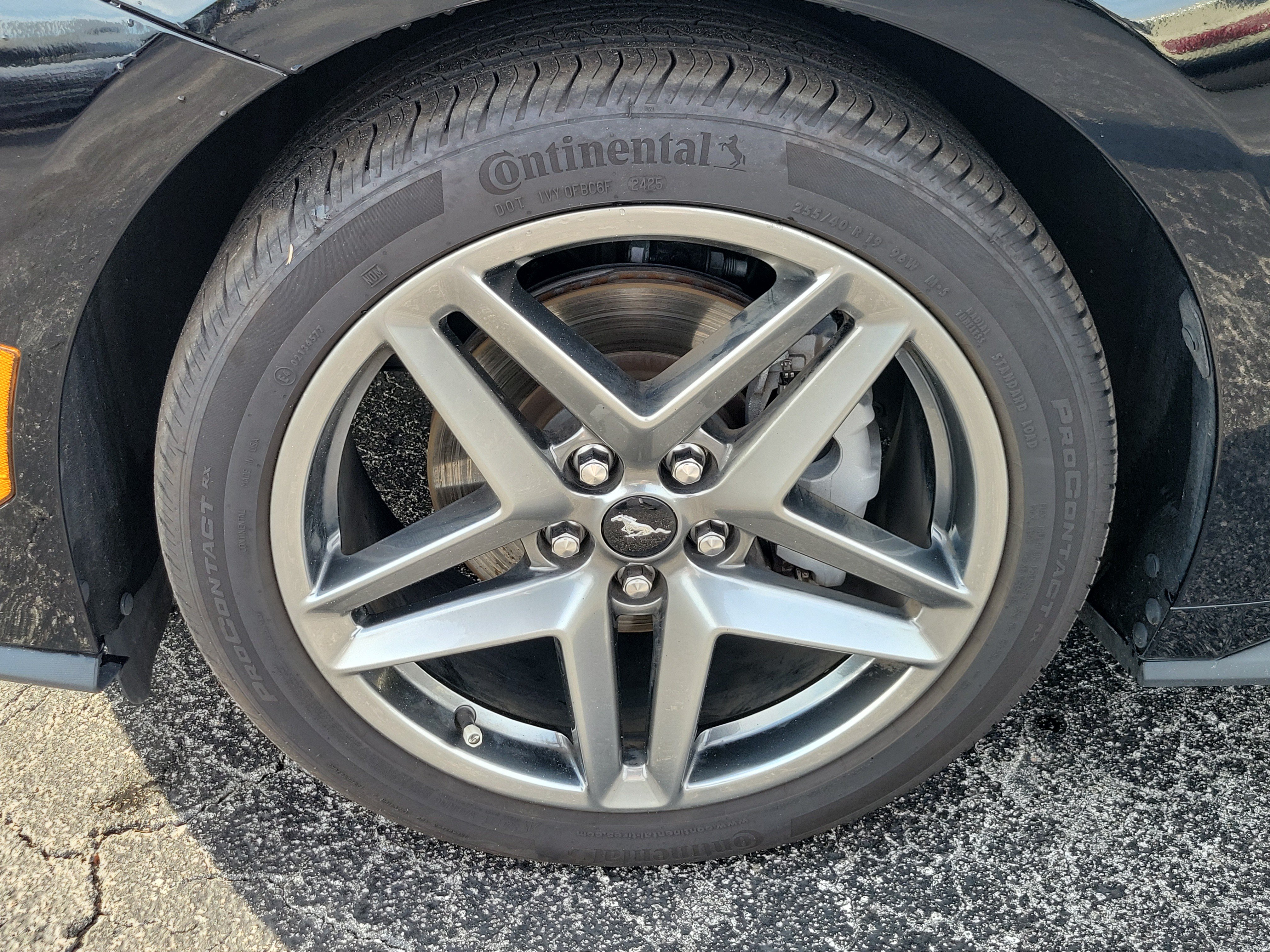 Used 2025 Ford Mustang Premium RWD image 7