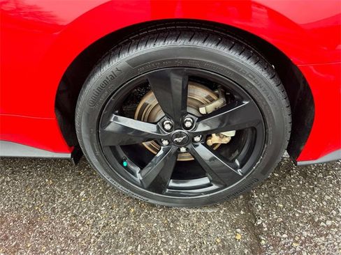 Used 2021 Ford Mustang GT Premium w/ Black Accent Package image 14