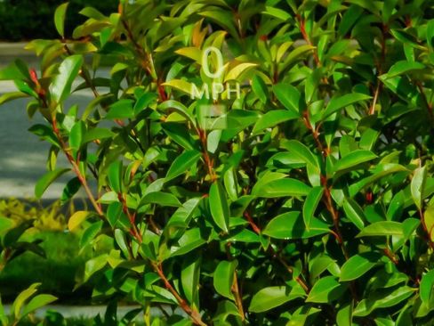 Used 2022 Cadillac Escalade ESV Premium Luxury w/ LPO, Floor Liner Package image 23