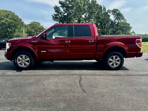 Used 2013 Ford F150 Limited AWD/4WD image 2
