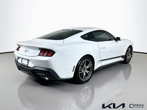 Used 2025 Ford Mustang Coupe w/ Wheel & Stripe Package RWD image 5