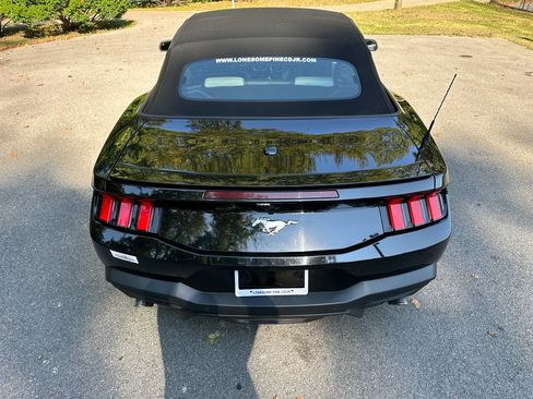 Used 2024 Ford Mustang Premium image 4