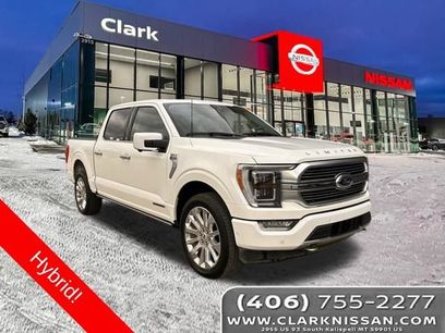 Used 2023 Ford F150 Limited